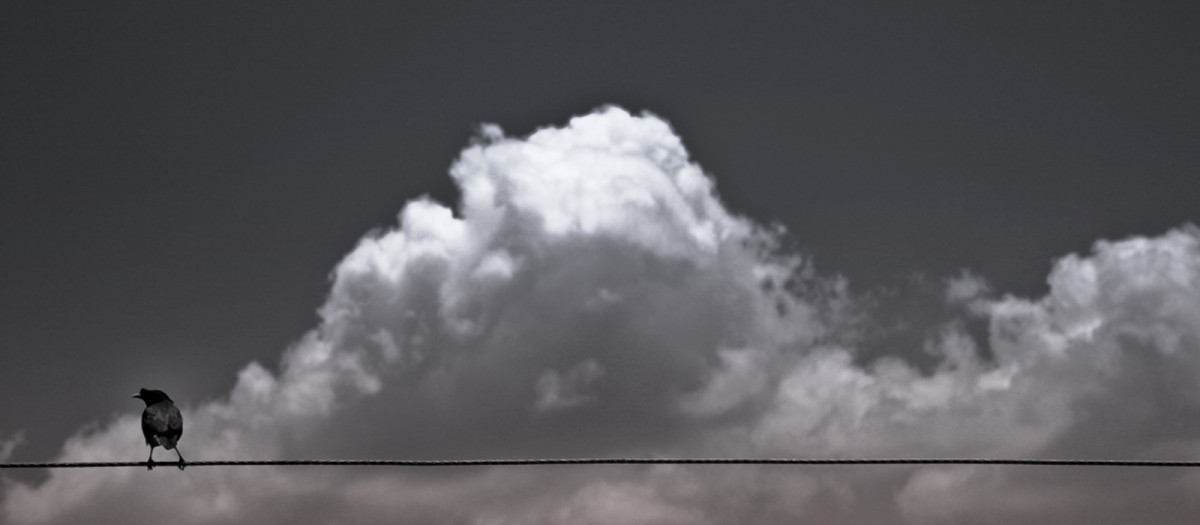 The Power of Solitude and Why Being Alone Is Important