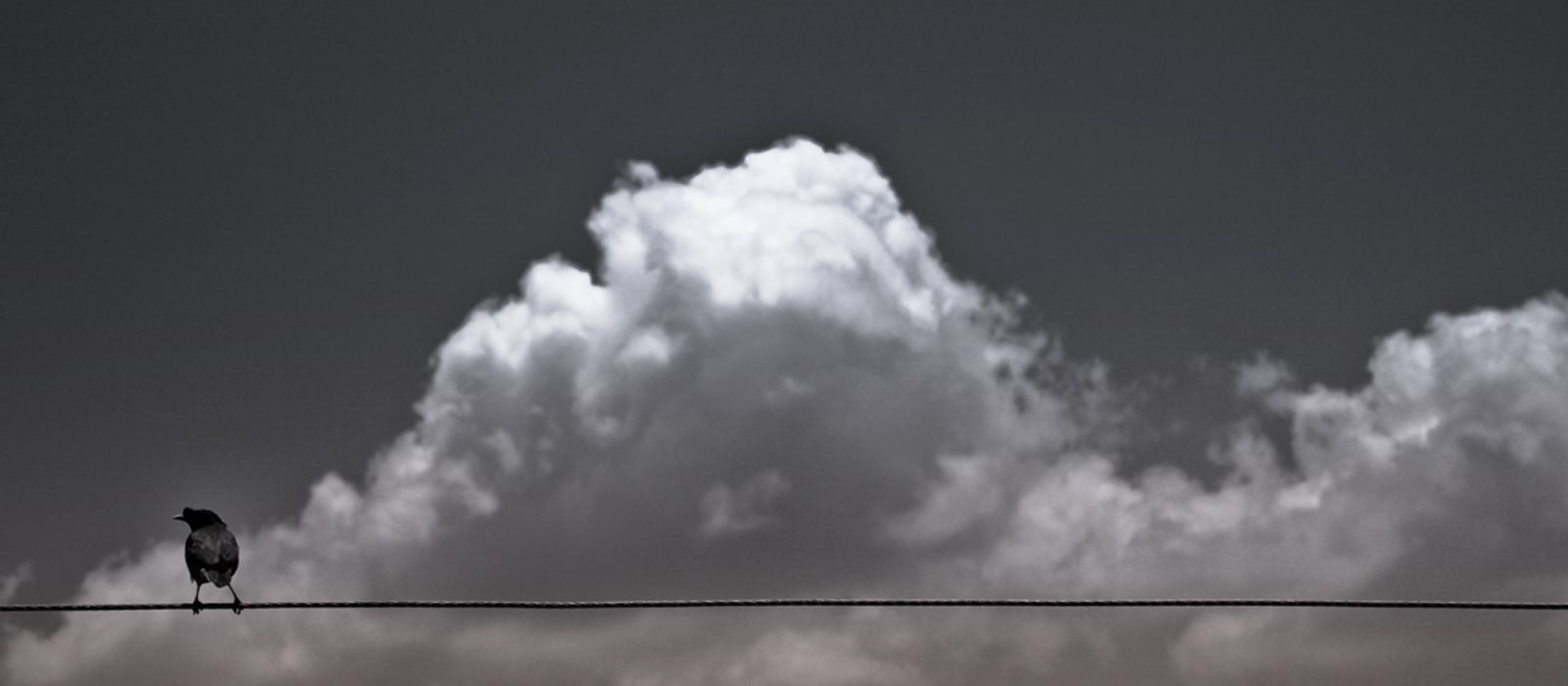 The Power of Solitude and Why Being Alone Is Important