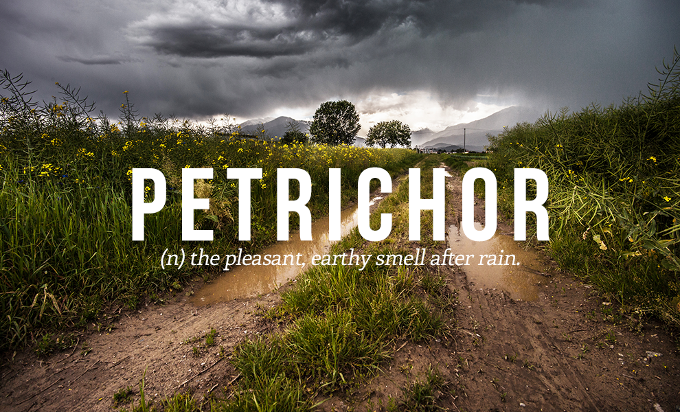 petrichor