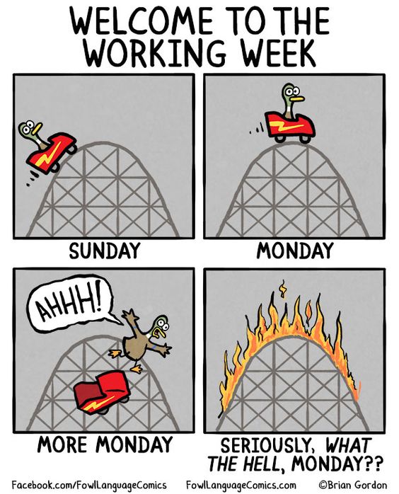 monday