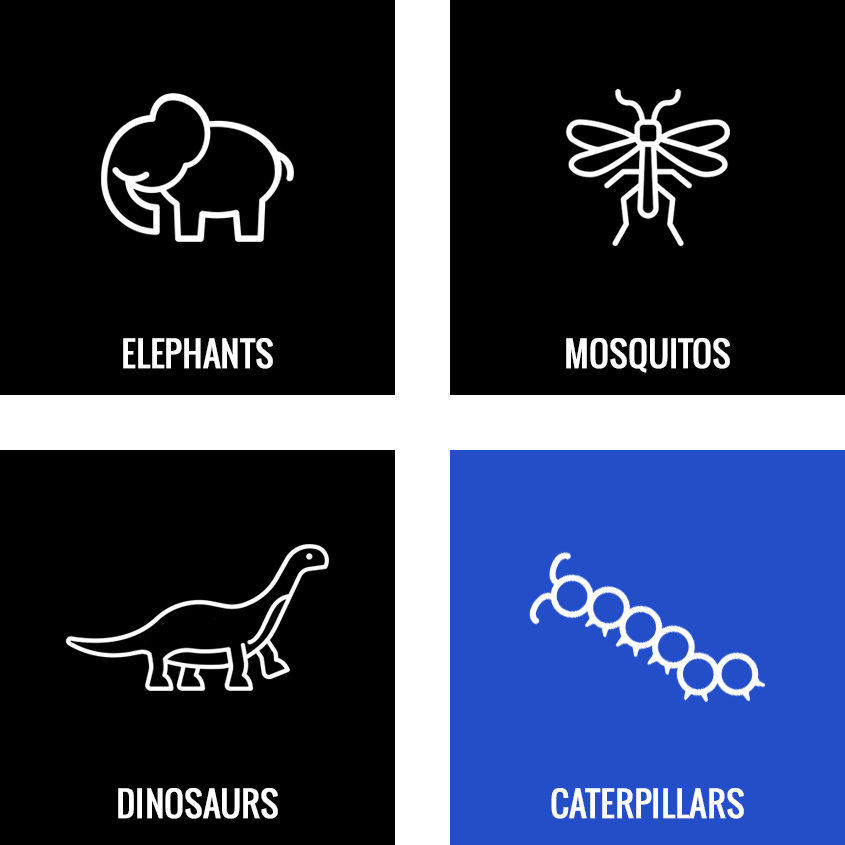 caterpillarIdeas