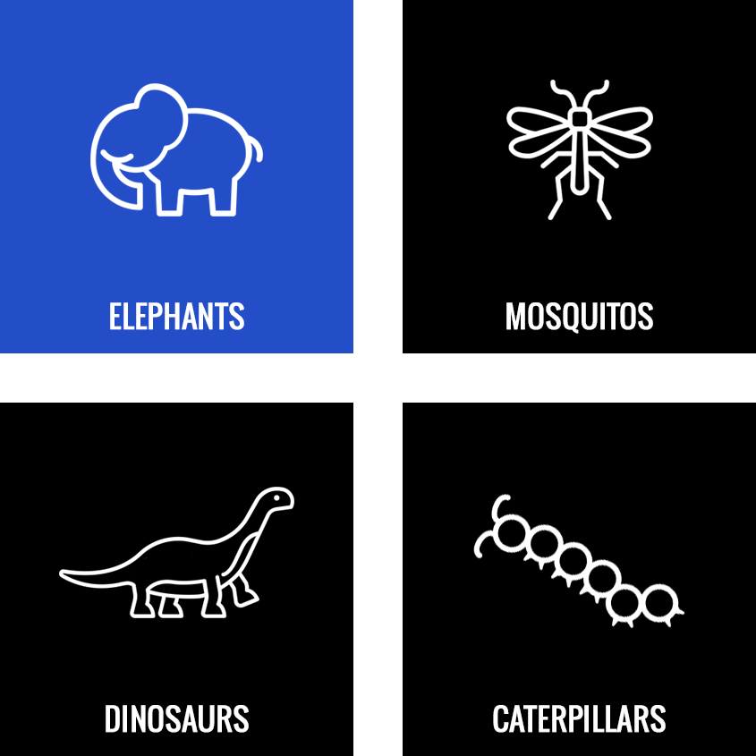 elephantIdeas