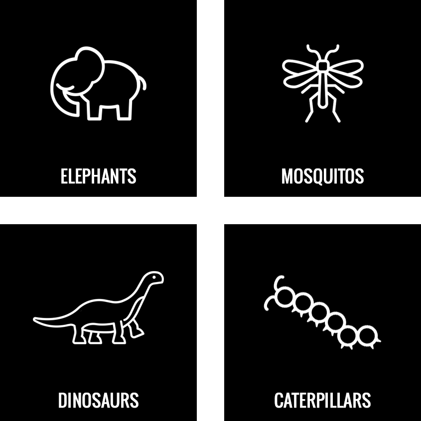 ideaAnimals