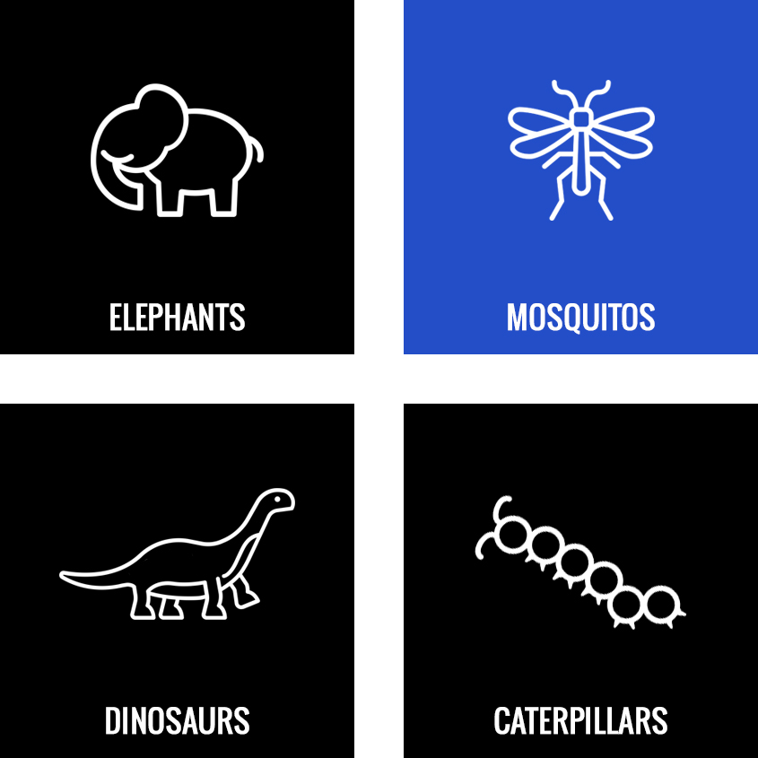 mosquitoIdeas